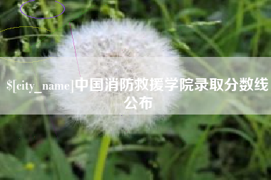 内蒙古中国消防救援学院录取分数线公布