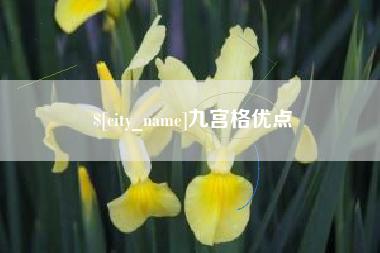 内蒙古九宫格优点
