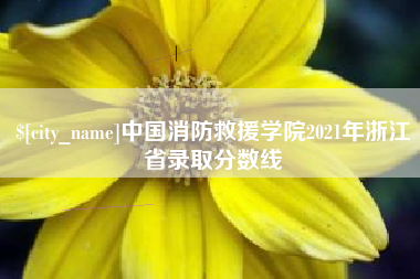 内蒙古中国消防救援学院2021年浙江省录取分数线