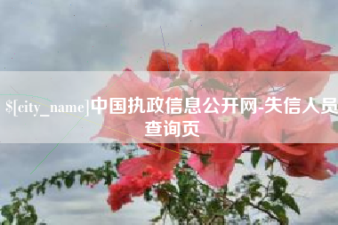 内蒙古中国执政信息公开网-失信人员查询页