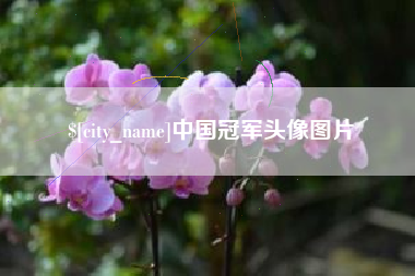 内蒙古中国冠军头像图片