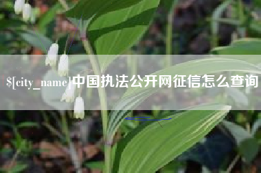 内蒙古中国执法公开网征信怎么查询