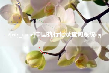内蒙古中国执行记录查询系统app
