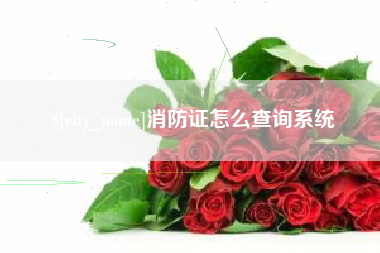 内蒙古消防证怎么查询系统