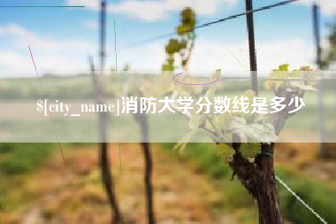 内蒙古消防大学分数线是多少