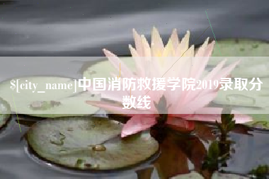 内蒙古中国消防救援学院2019录取分数线