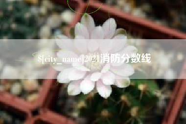 内蒙古2021消防分数线