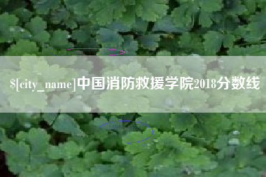 内蒙古中国消防救援学院2018分数线
