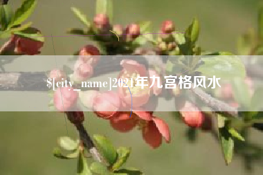 内蒙古2021年九宫格风水