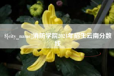 内蒙古消防学院2024年招生云南分数线