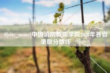 内蒙古中国消防救援学院2020年各省录取分数线