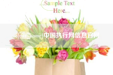 内蒙古中国执行网信息官网