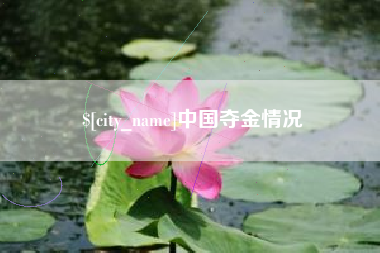 内蒙古中国夺金情况