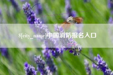 内蒙古中国消防报名入口