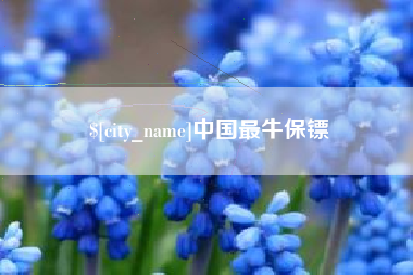 内蒙古中国最牛保镖