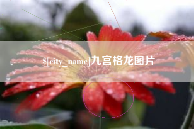 内蒙古九宫格龙图片