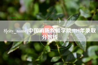 内蒙古中国消防救援学院2019年录取分数线