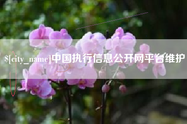 内蒙古中国执行信息公开网平台维护