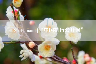内蒙古“中国执行公开网”