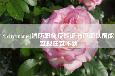 内蒙古消防职业技能证书查询以前能查现在查不到