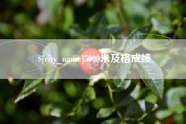 内蒙古5000米及格成绩