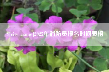 内蒙古2025年消防员报名时间表格