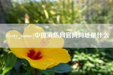内蒙古中国消防网官网网址是什么