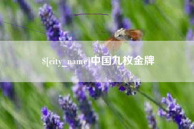 内蒙古中国九枚金牌