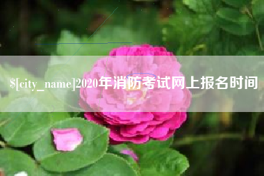 内蒙古2020年消防考试网上报名时间