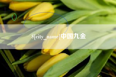 内蒙古中国九金