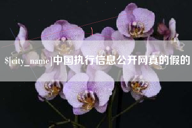 内蒙古中国执行信息公开网真的假的