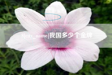 内蒙古我国多少个金牌
