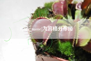 内蒙古九宫格分布图