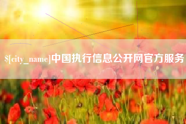 内蒙古中国执行信息公开网官方服务