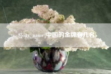 内蒙古中国的金牌有几名