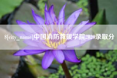 内蒙古中国消防救援学院2020录取分