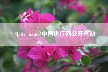 内蒙古中国执行网公开查询