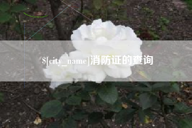 内蒙古消防证的查询