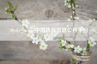 内蒙古中国执行信息公开平台