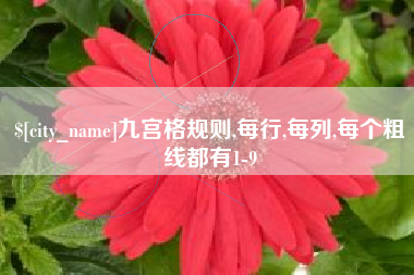 内蒙古九宫格规则,每行,每列,每个粗线都有1-9