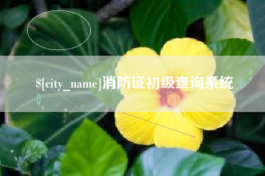 内蒙古消防证初级查询系统