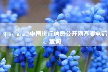 内蒙古中国执行信息公开网客服电话查询