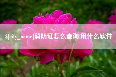 内蒙古消防证怎么查询,用什么软件