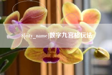 内蒙古数字九宫格玩法