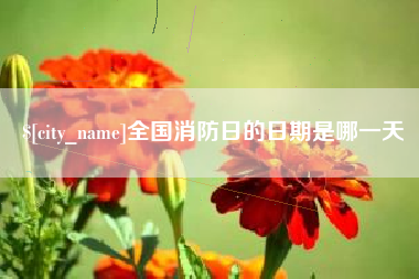 内蒙古全国消防日的日期是哪一天