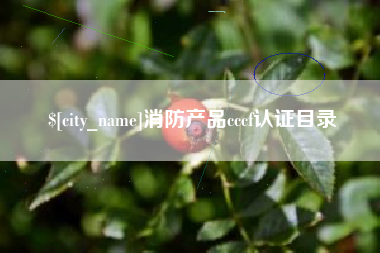 内蒙古消防产品cccf认证目录
