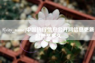 内蒙古中国执行信息公开网信息更新时间是多久