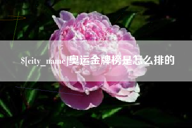 内蒙古奥运金牌榜是怎么排的