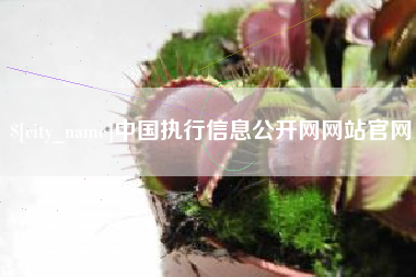 内蒙古中国执行信息公开网网站官网