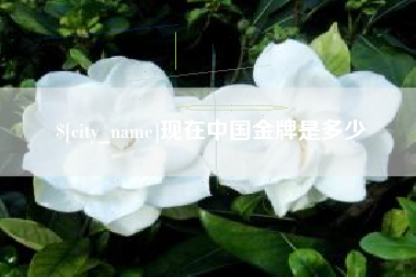 内蒙古现在中国金牌是多少